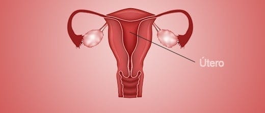 Imagen: Cáncer uterino