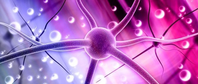 Imagen: Diagnóstico de daños cerebrales en recién nacidos