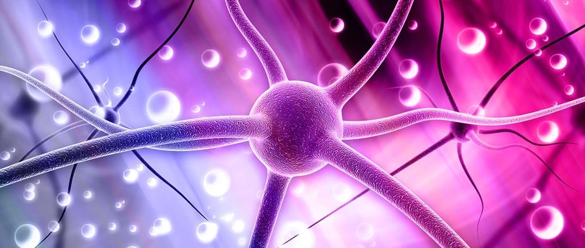 Crean una técnica para ver daños cerebrales en recién nacidos