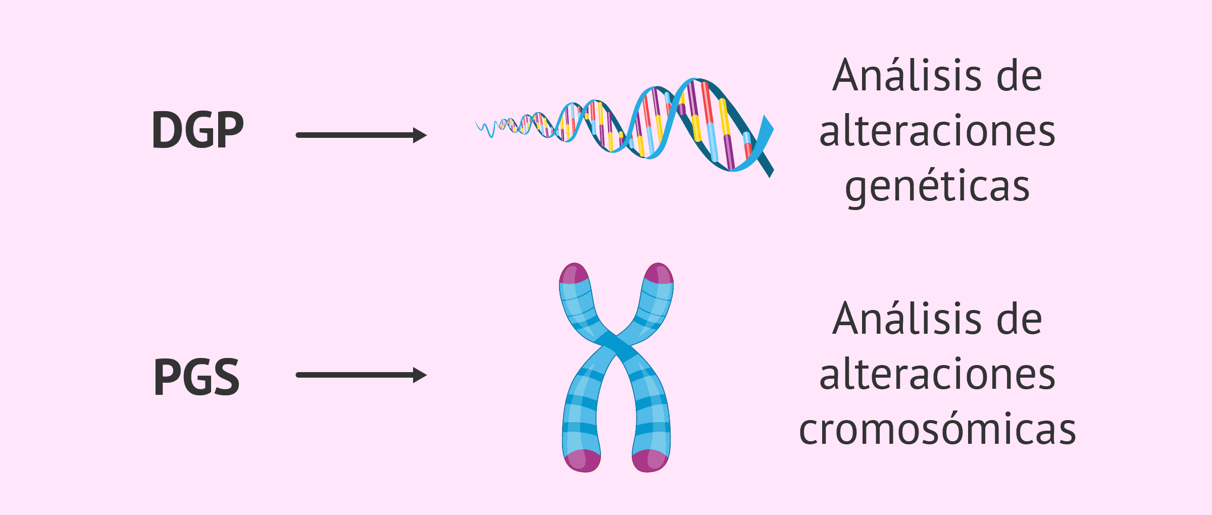 Definición de DGP y PGS