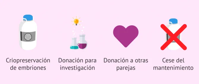 Imagen: Posibles destinos de los embriones sobrantes de la FIV