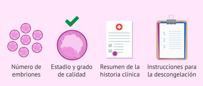 Imagen: Documentación para el traslado de embriones