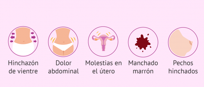 Imagen: Después de la inseminación