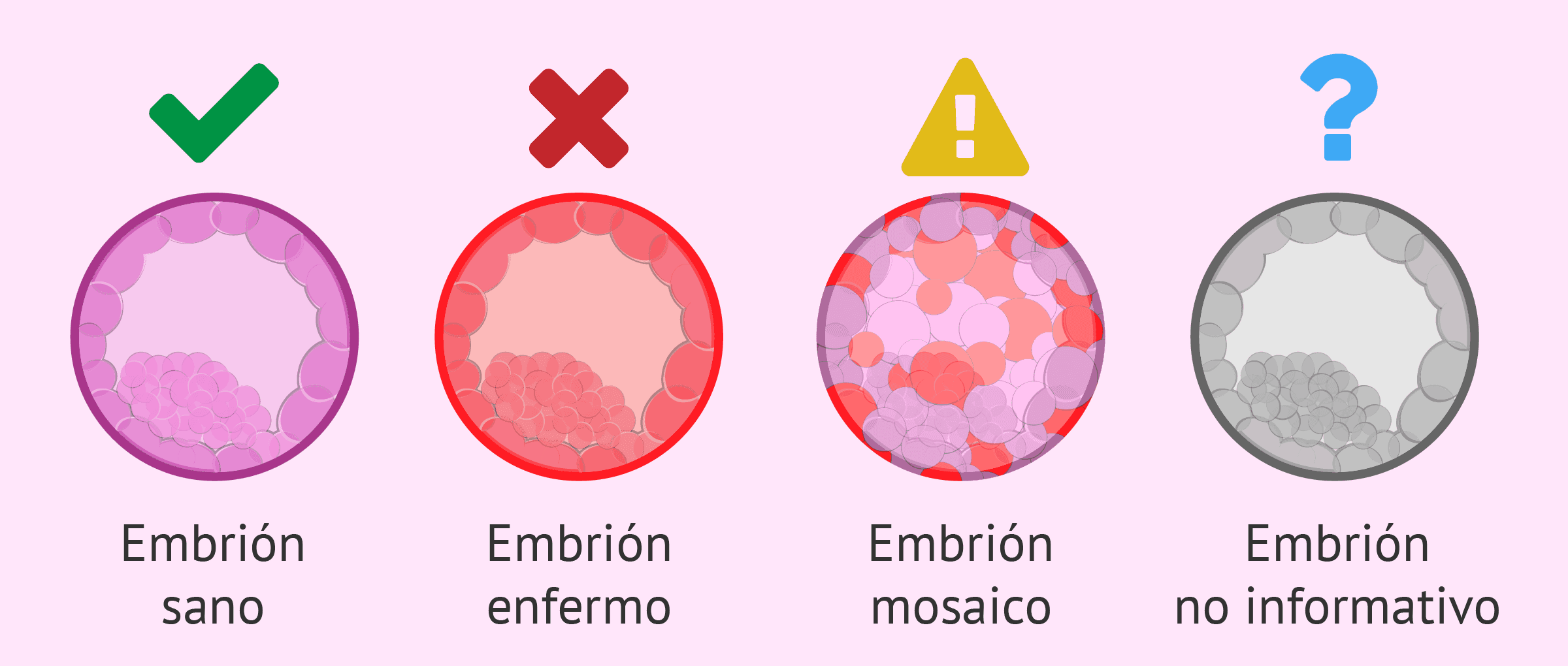Probabilidad de embarazo con test genético preimplantacional
