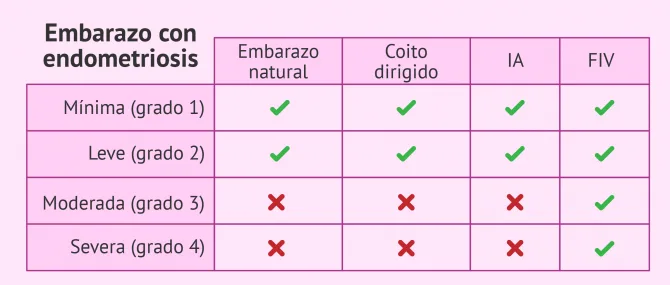 Imagen: Opciones para lograr el embarazo con endometriosis