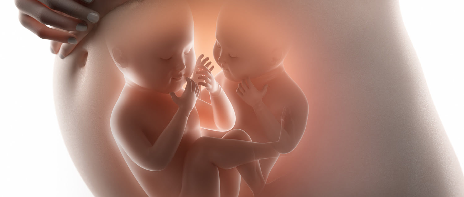 Nueva técnica quirúrgica intrauterina permite la evolución favorable de un feto en casos de embarazo de gemelos