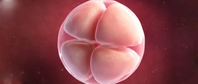 Imagen: El embrión de una mujer inglesa es colocado por error en otra paciente de reproducción asistida