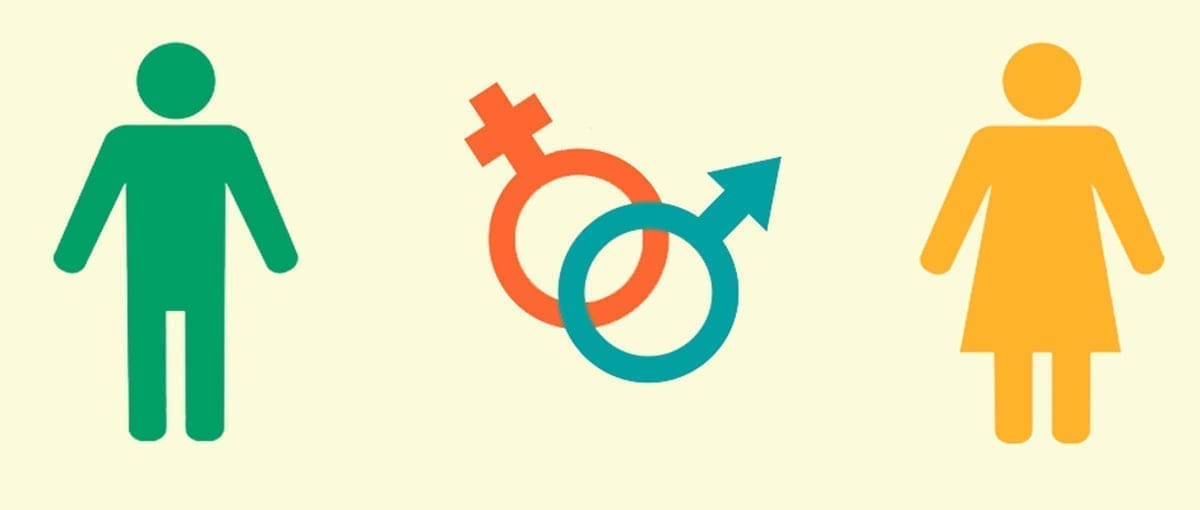Estudio sobre la influencia del sexo del embrión