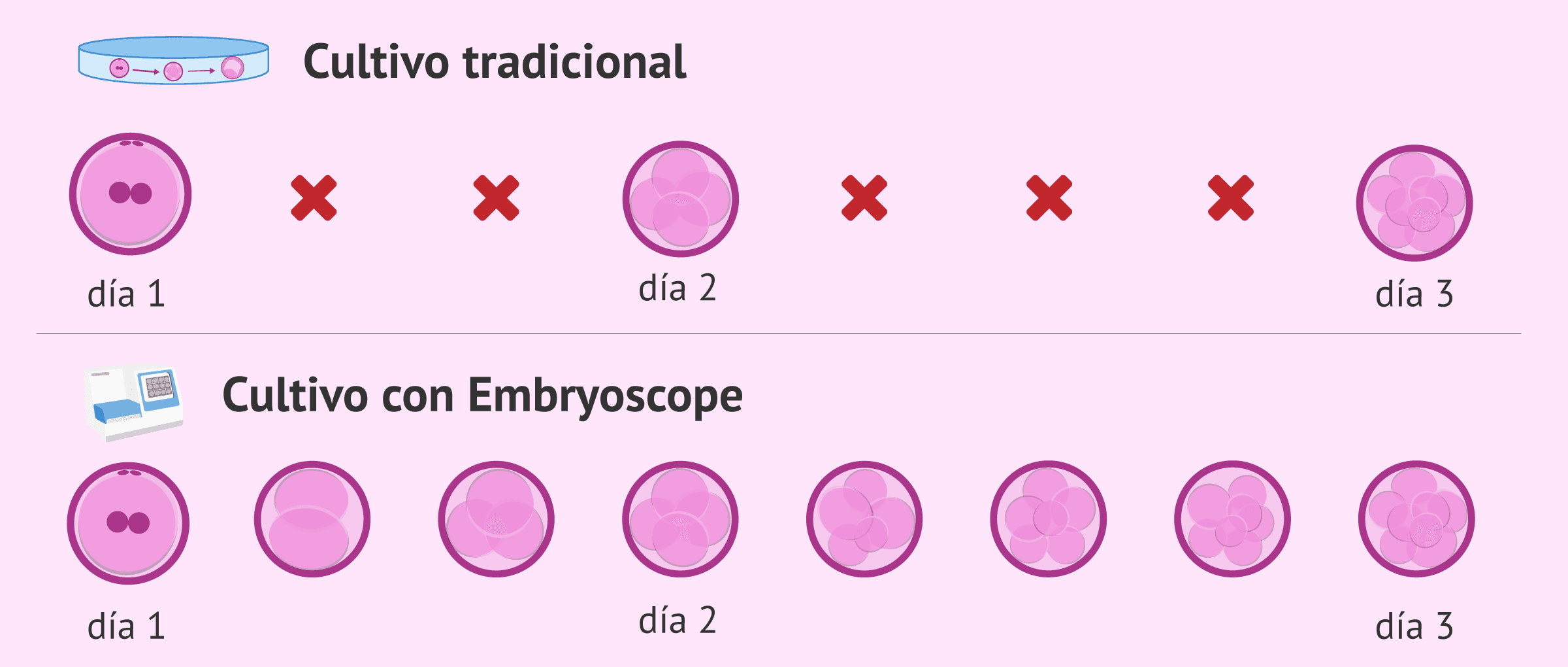 ¿Qué es el Embryoscope y cuáles son sus ventajas en la FIV?