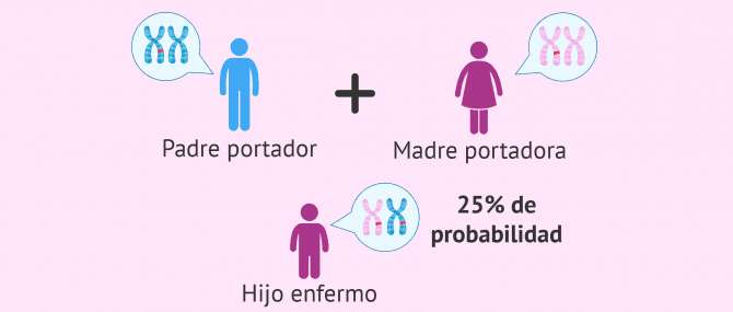 Imagen: Transmisión de enfermedad genética recesiva