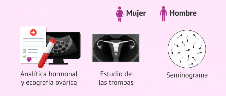 Imagen: Estudios previos a la reversión de la ligadura de trompas