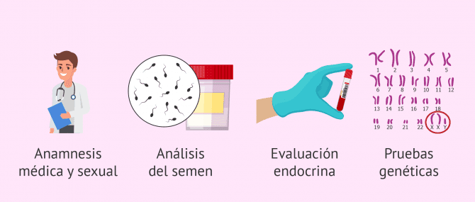 Imagen: Evaluación básica del varón