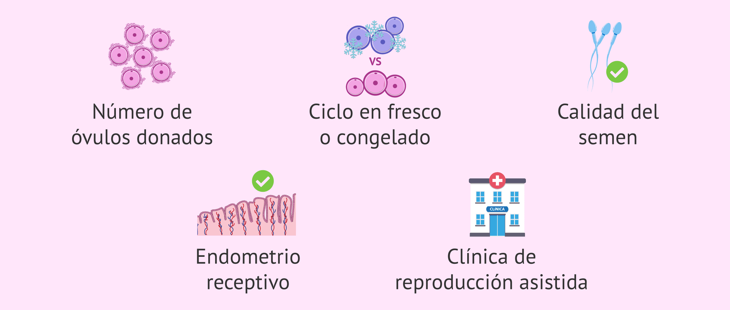 Imagen: Factores implicados en el éxito de la ovodonación