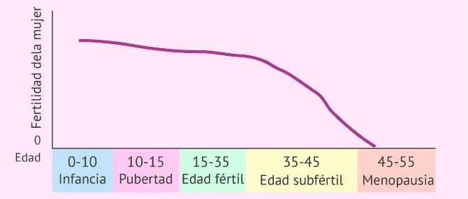 Imagen: Relación edad y periodo de periodo fértil