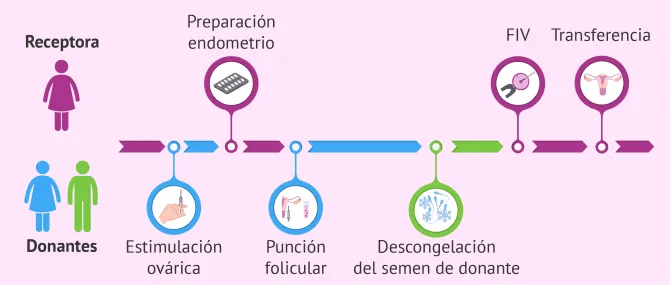 Imagen: FIV con óvulos y semen de banco