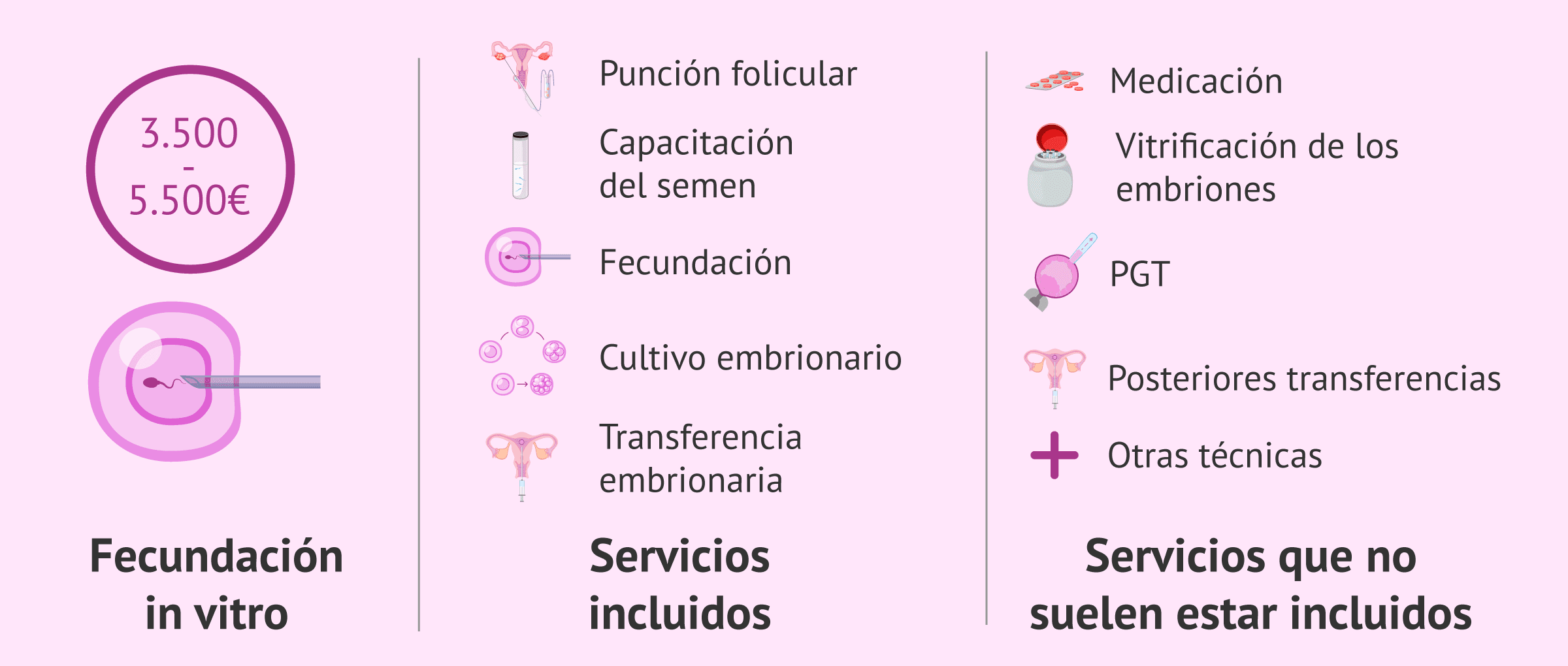 ¿Cuál es el precio de la FIV y qué es lo que incluye y no incluye?