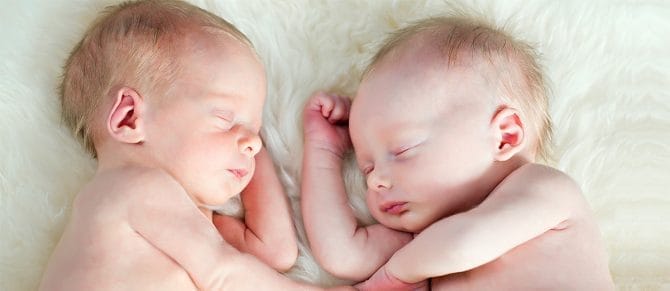 Imagen: Gemelos útero didelfo