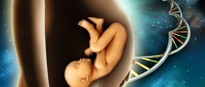 Imagen: Genes asociados a la fertilidad