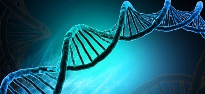 Imagen: Las madres añosas tienen genes rejuvenecedores