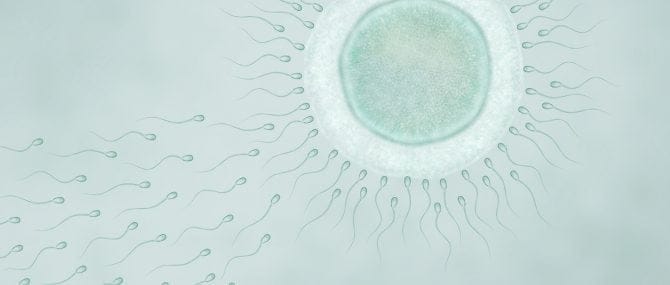 Imagen: Ha cumplido 25 años el primer bebé que fue concebida por fecundación in vitro en España