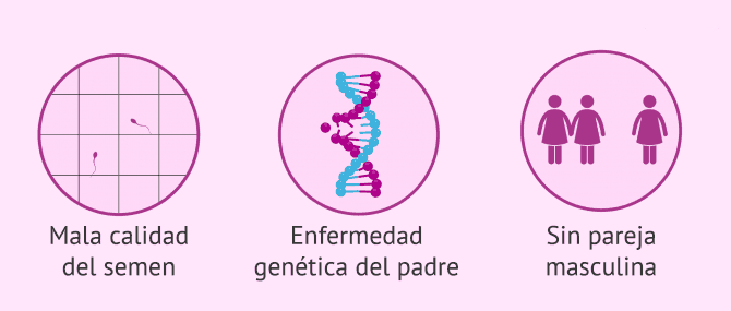 Imagen: ¿En qué casos se recurre al esperma de donante?