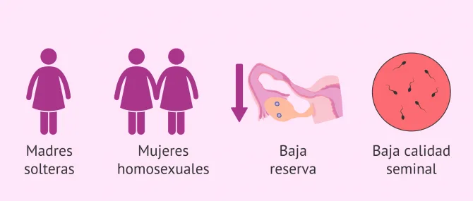 Imagen: Indicaciones de la FIV con doble donación