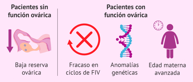 Imagen: Indicaciones de la ovodonación