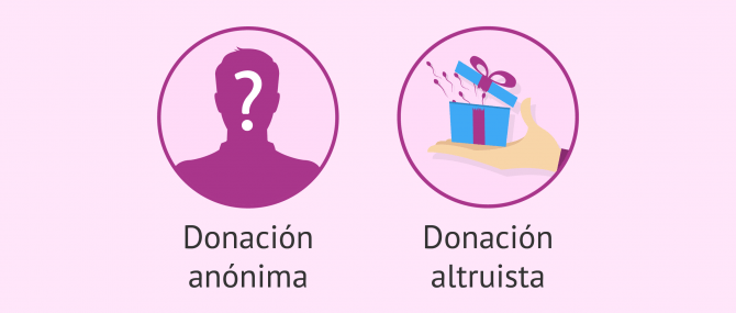 Imagen: Características de la donación en España