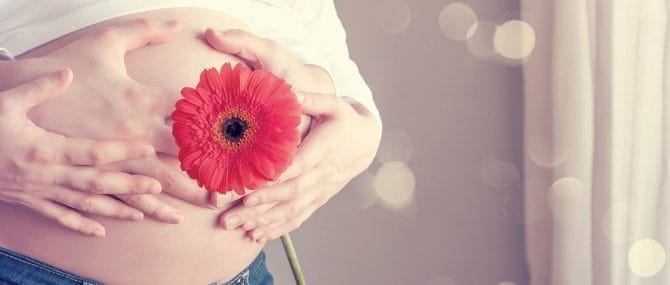Imagen: El virus de la gripe A en mujeres embarazadas