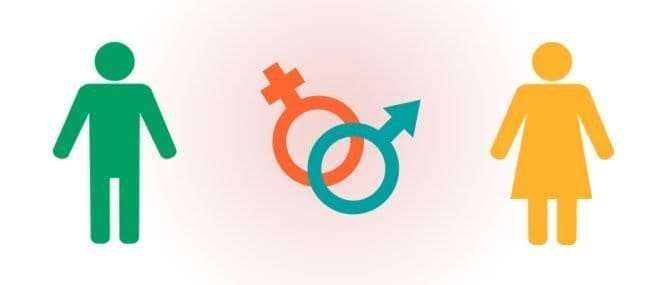 Imagen: las-cifras-de-la-mujer-en-españa