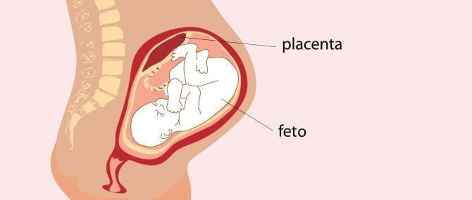 Imagen: A pesar de que se trabaja cada día por erradicar este tipo de lesiones todavía siguen habiendo casos.