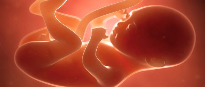 Imagen: El Ministerio de Igualdad saca adelante la Reforma de la Ley del Aborto