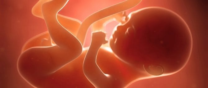 Imagen: Menor tasa de aborto con ley de plazos