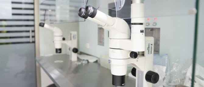 Imagen: Laboratorio FIV Ginemed Valencia