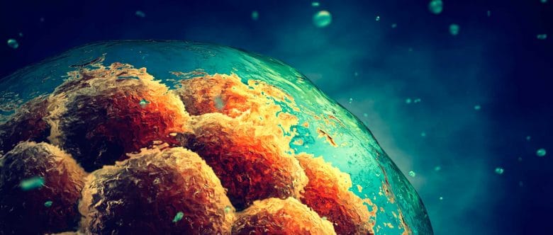 Imagen: Primera edición de genes modificados genéticamente en España