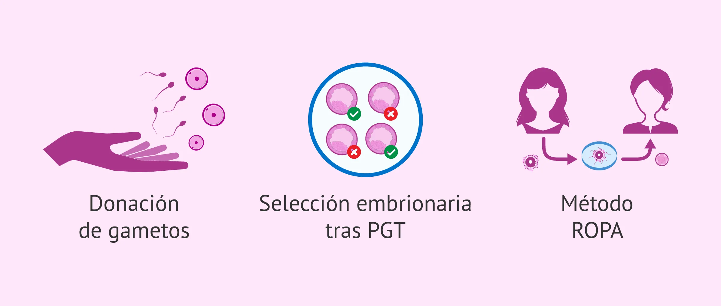 Imagen: Tratamiento de fertilidad