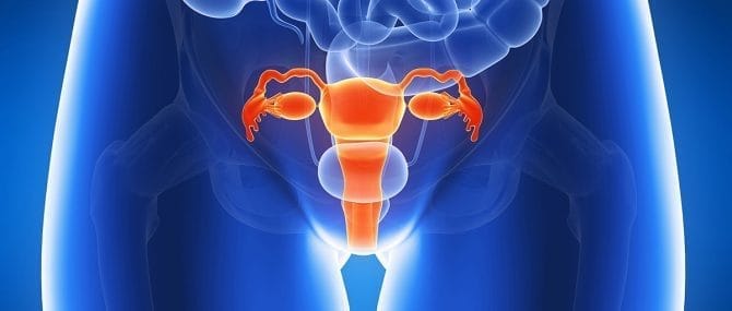 Imagen: Mujer lográ quedar embarazada por implante de tejido ovárico después de superar un cáncer