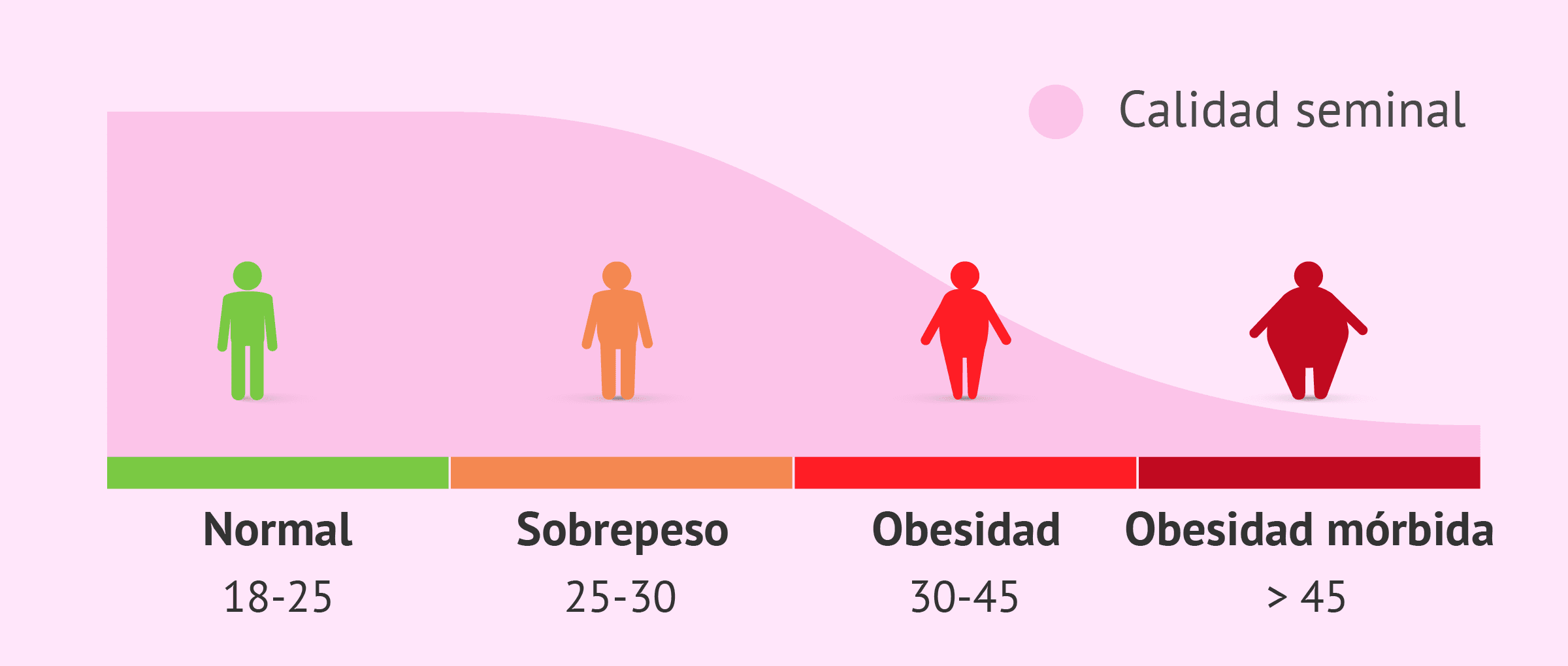 Esterilidad masculina y baja calidad del semen debido a la obesidad