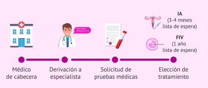 Imagen: Proceso de reproducción asistida en la Seguridad Social