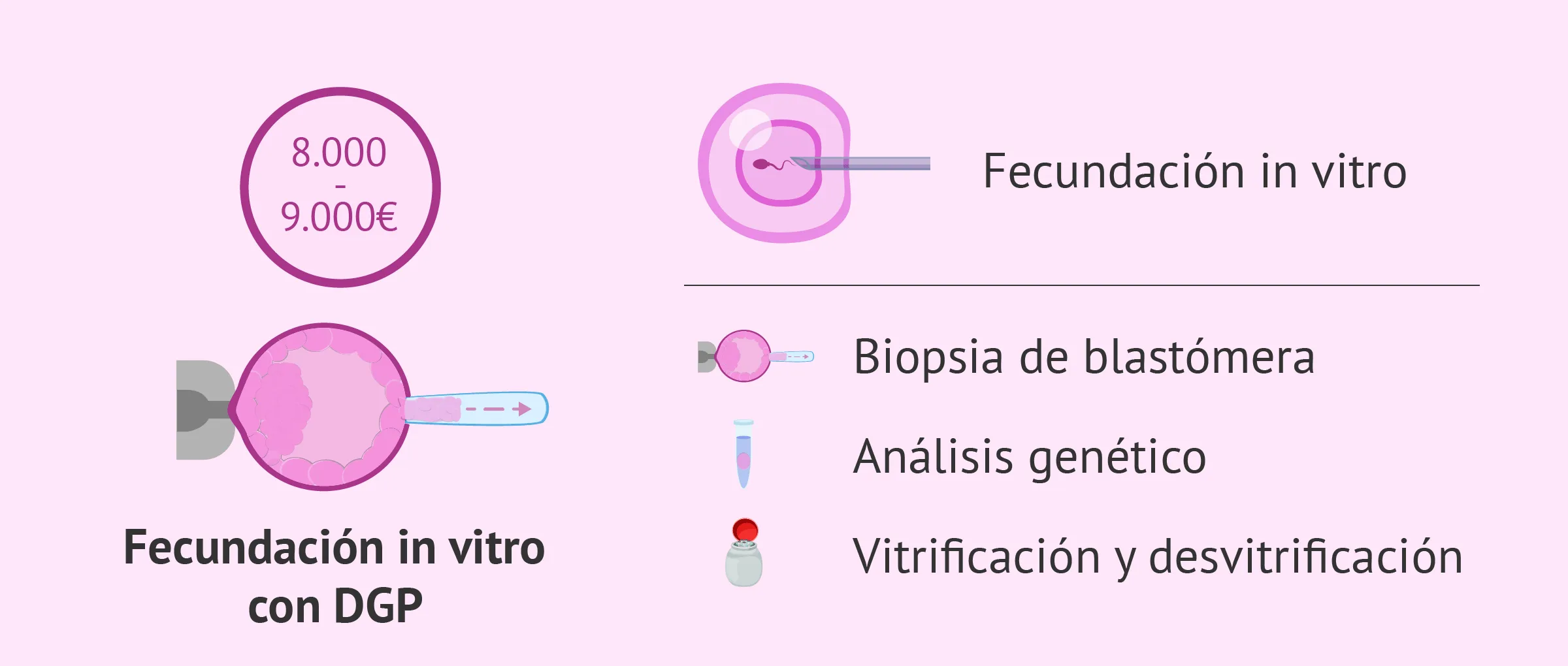 Precio de la FIV con DGP