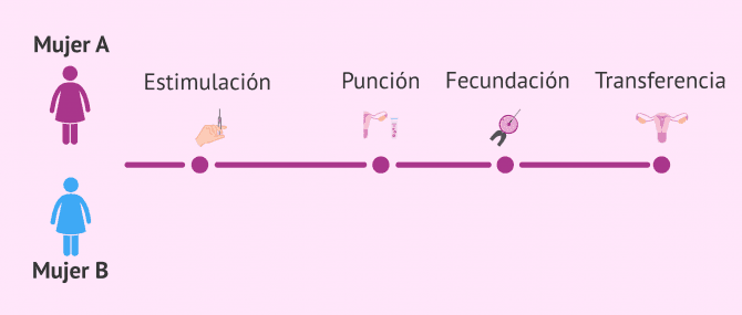 Imagen: FIV para parejas de mujeres