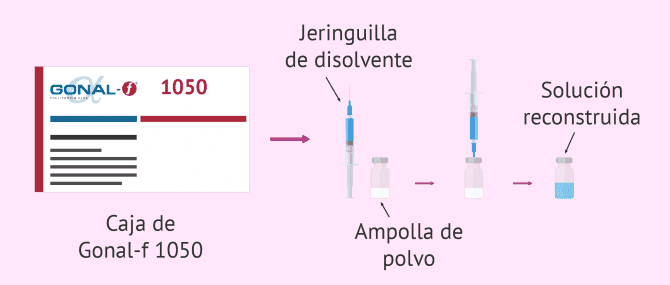 Imagen: Reconstrucción de Gonal-f 1050