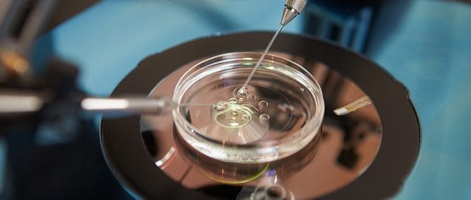 Imagen: Tratamiento de fertilidad en la seguridad social