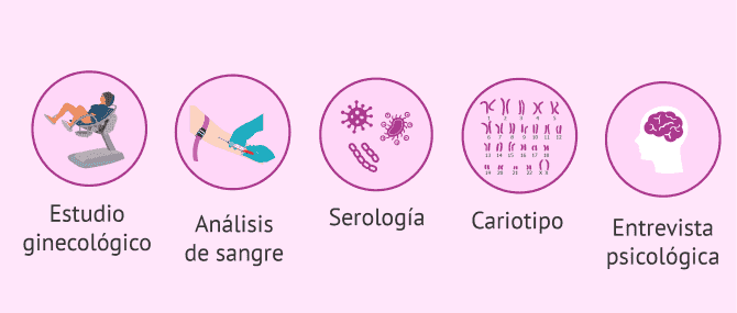 Imagen: Pruebas de donante de ovocitos
