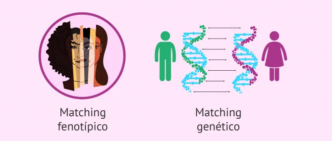 Imagen: Matching fenotípico y genético de los donantes de gametos