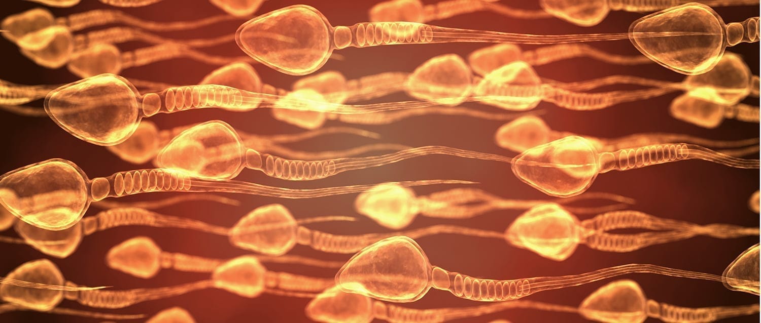 Nueva técnica identifica los espermatozoides vivos del semen