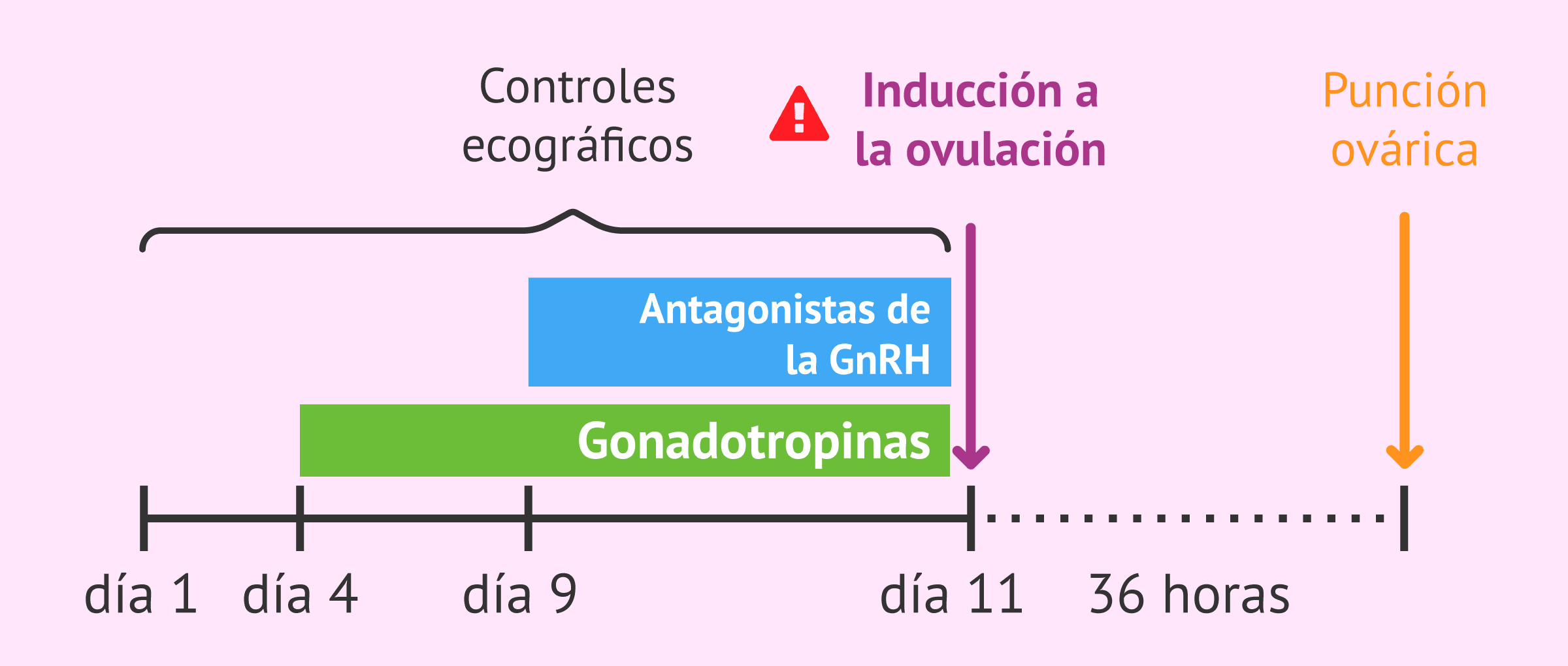 ¿Qué es el Síndrome del Folículo Vacío y cómo se puede evitar?