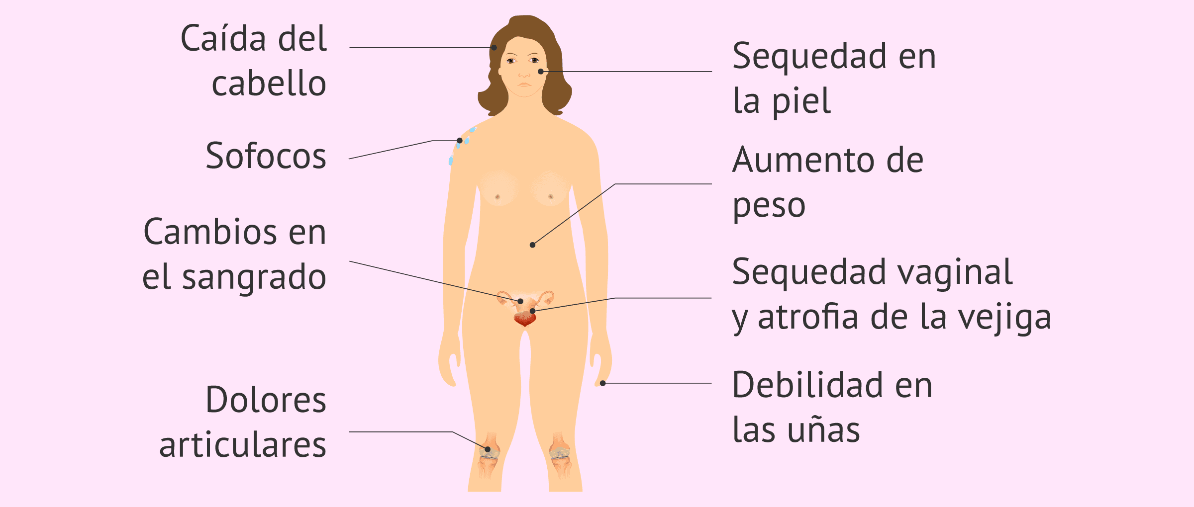 La menopausia