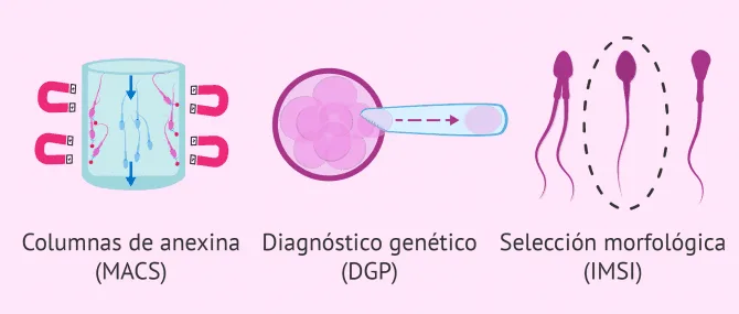 Imagen: DGP, IMSI y MACS