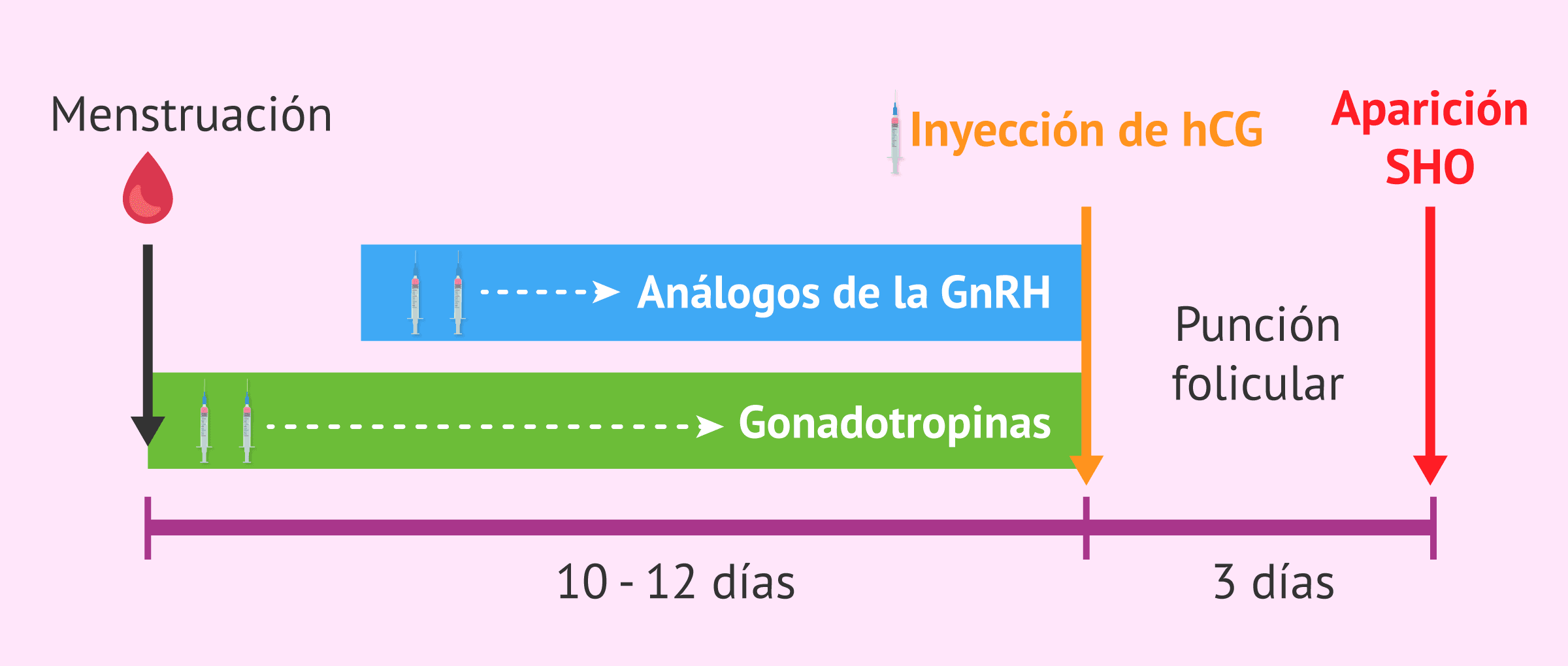 El Síndrome de Hiperestimulación Ovárica (SHO)